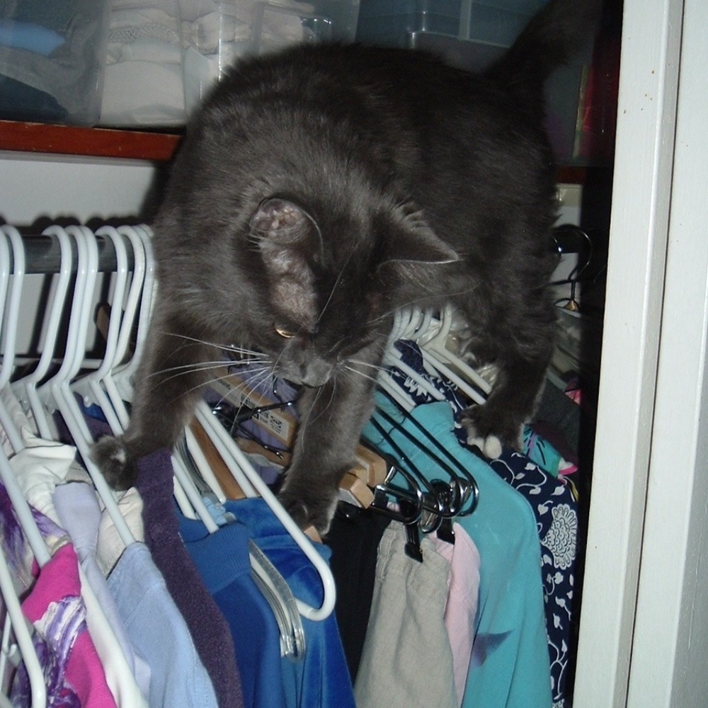What Is She Doing?
